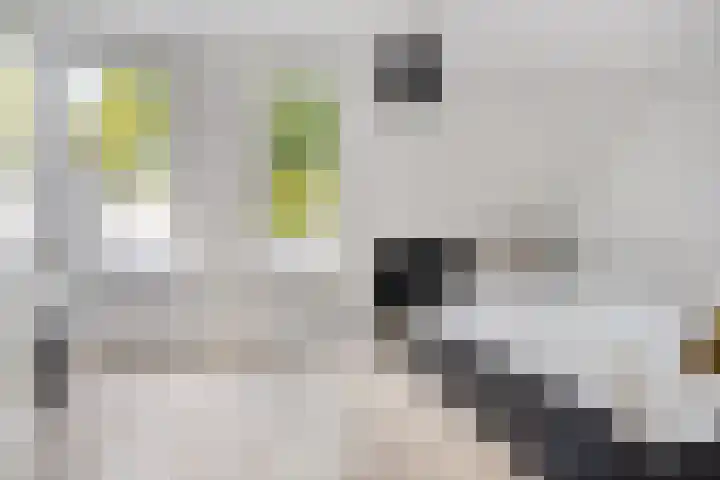 Mandelborg 21 Maastricht thumbnail 16