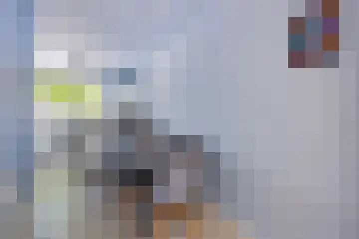 Mandelborg 21 Maastricht thumbnail 9