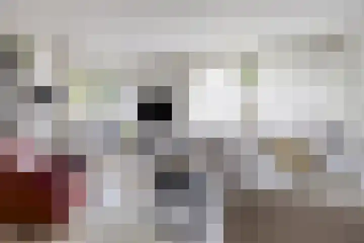 Mandelborg 6 C Maastricht thumbnail 10
