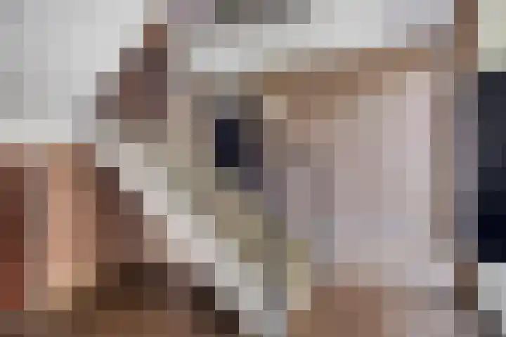 Mandelborg 6 C Maastricht thumbnail 4