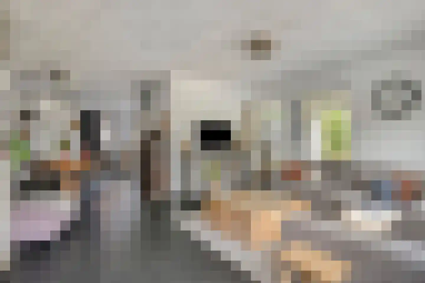 Mandenmaker 1 Best thumbnail 15