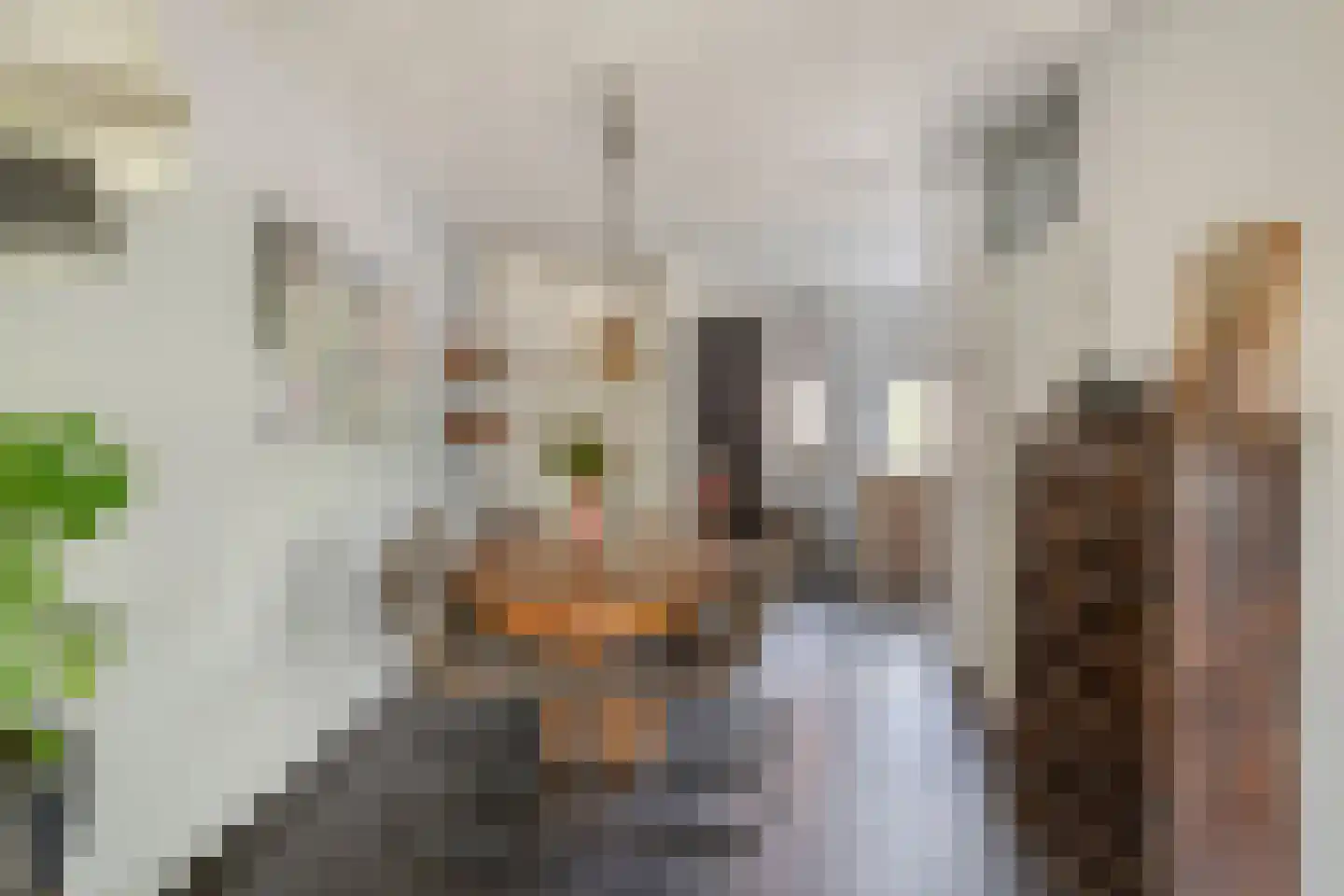 Mandenmaker 1 Best thumbnail 16