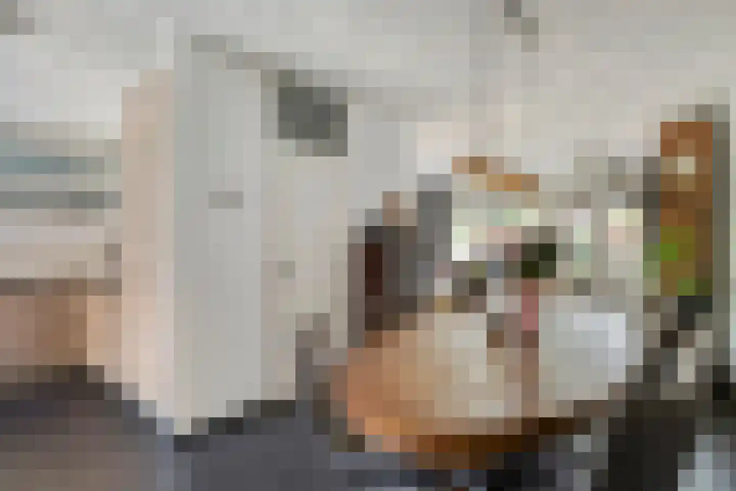Mandenmaker 1 Best foto 3