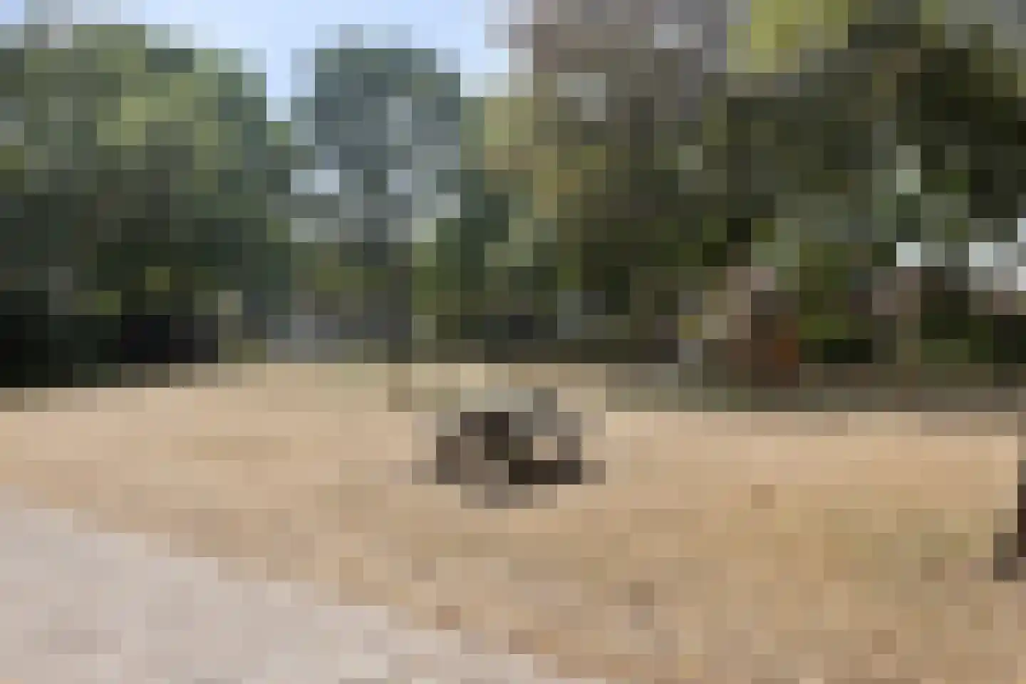 Mandenmaker 1 Best thumbnail 39