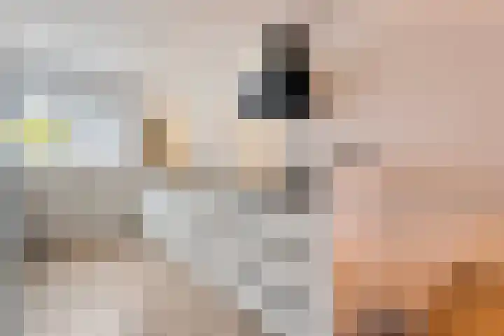 Mandenmaker 12 Rijssen thumbnail 17