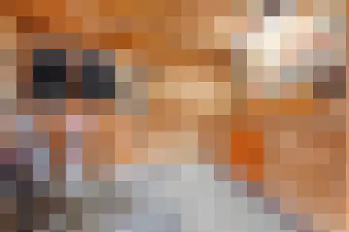 Mandenmaker 12 Rijssen thumbnail 32