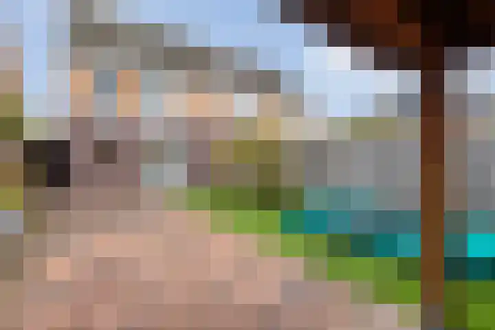Mandenmaker 12 Rijssen thumbnail 37