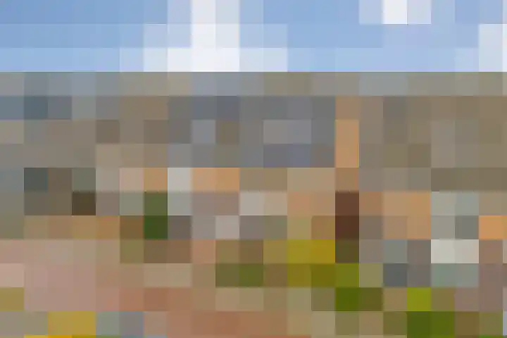 Mandenmaker 12 Rijssen thumbnail 5