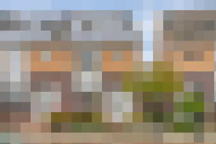 Mandenmaker 12 Rijssen thumbnail 8