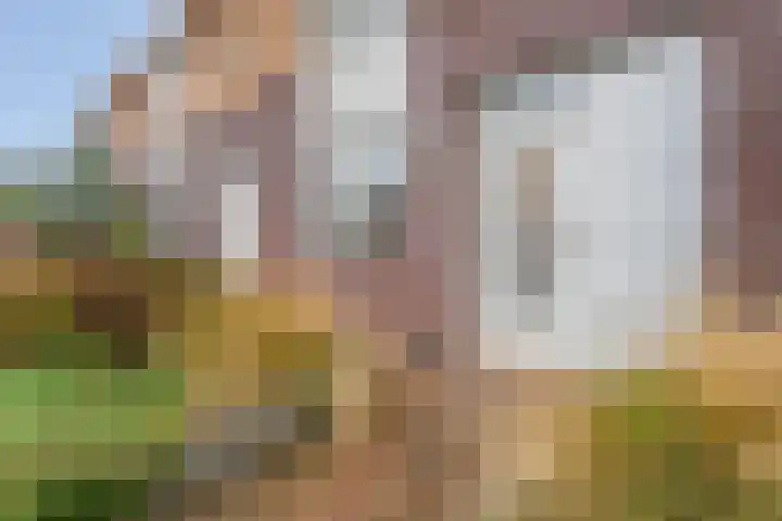 Mandenmaker 12 Rijssen thumbnail 9