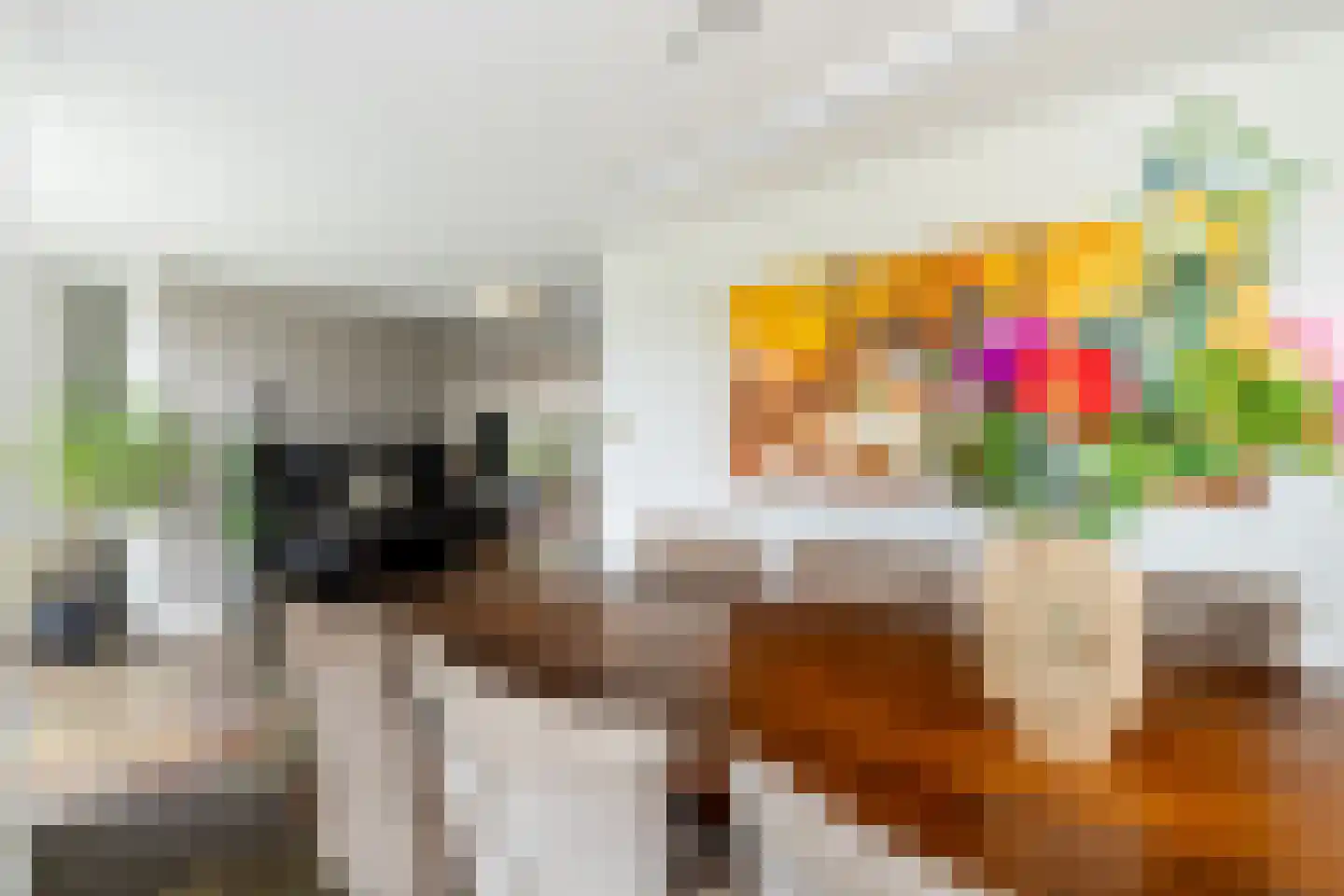 Mandenmaker 13 Oost West en Middelbeers thumbnail 16