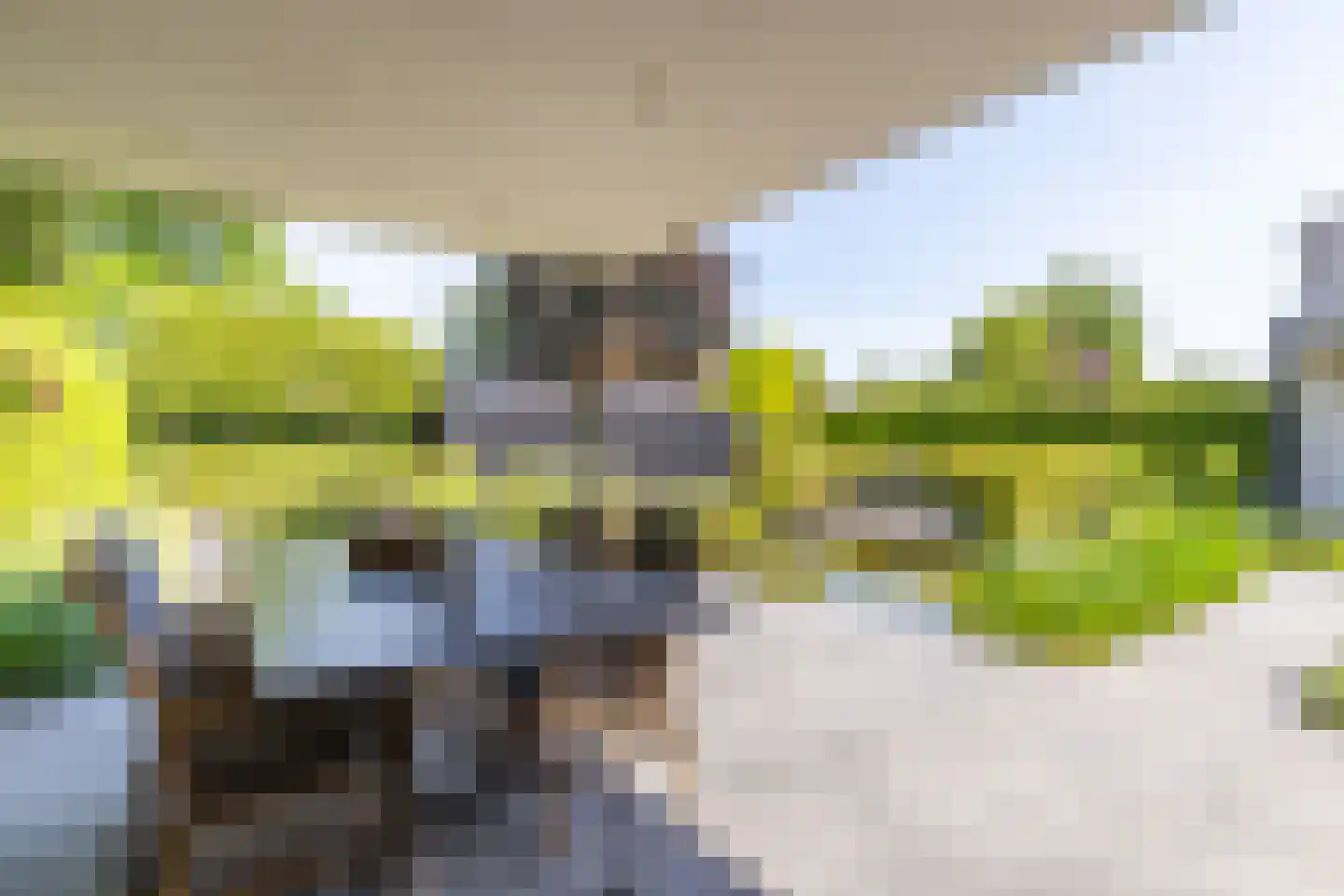 Mandenmaker 13 Oost West en Middelbeers thumbnail 49