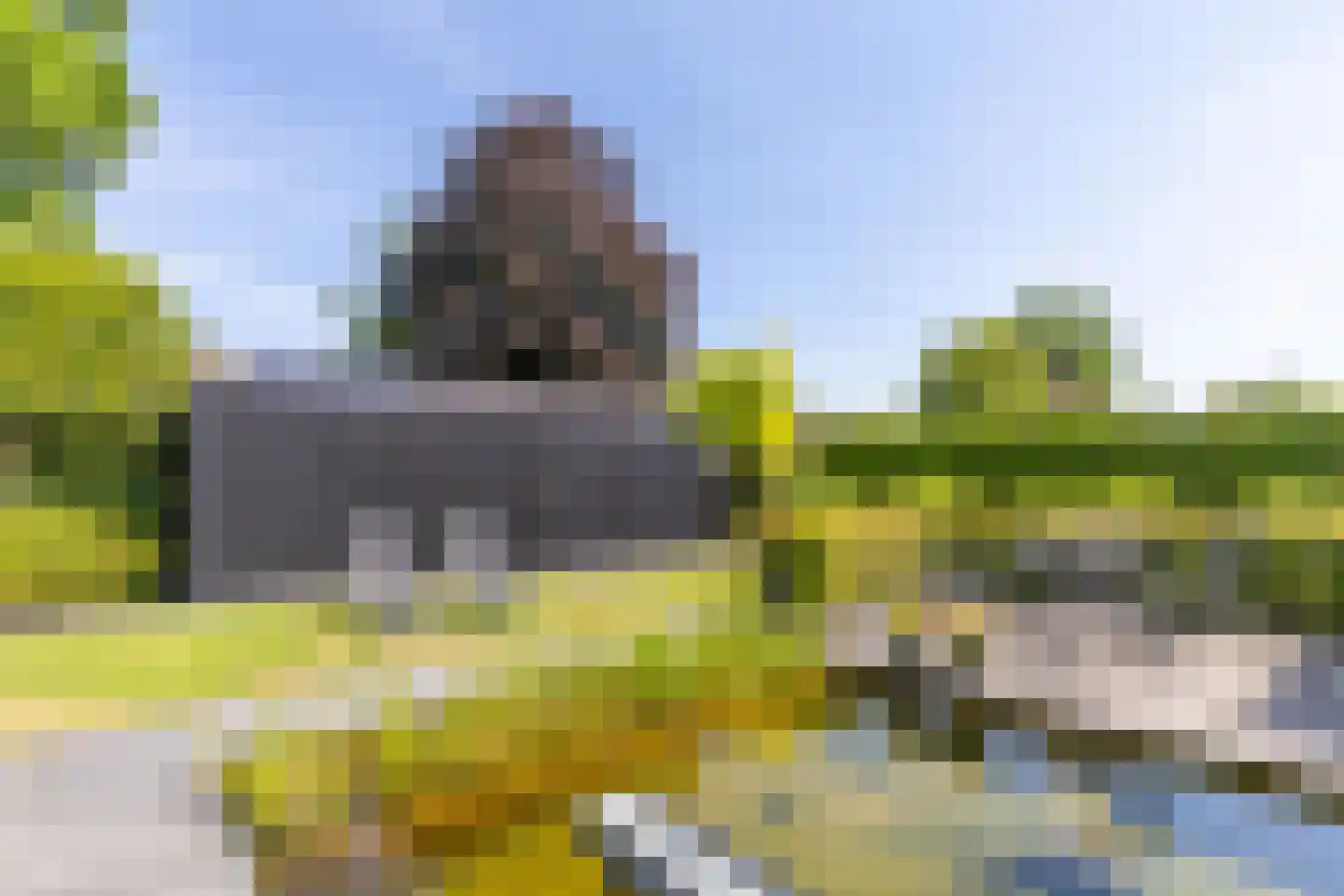 Mandenmaker 13 Oost West en Middelbeers thumbnail 53