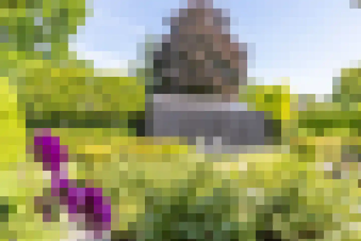 Mandenmaker 13 Oost West en Middelbeers thumbnail 54