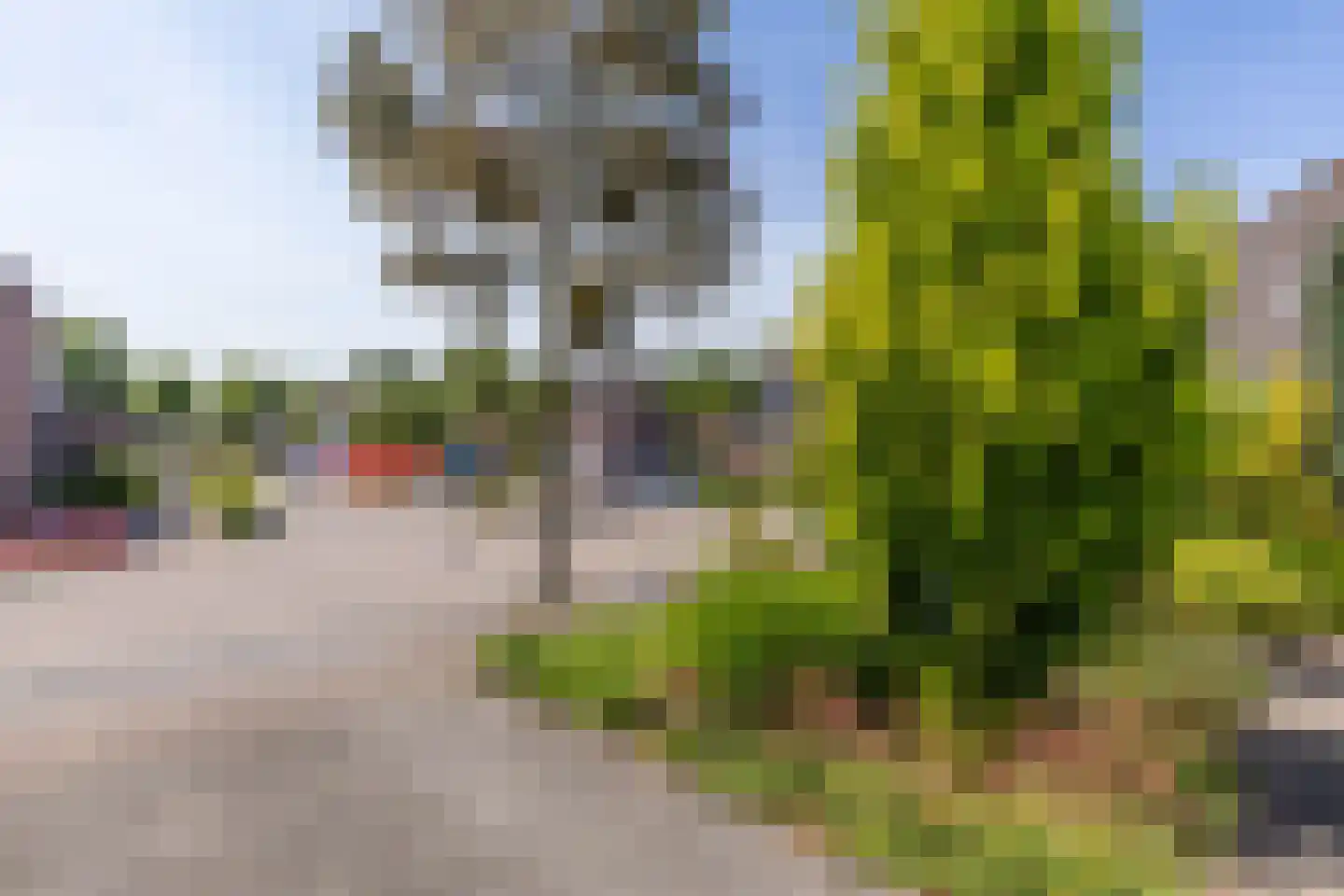 Mandenmaker 13 Oost West en Middelbeers thumbnail 58