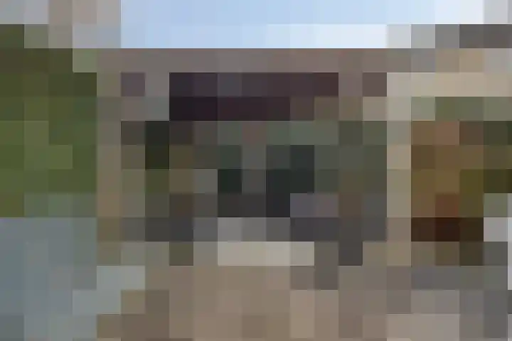 Mandenmaker 14 IJsselstein thumbnail 33