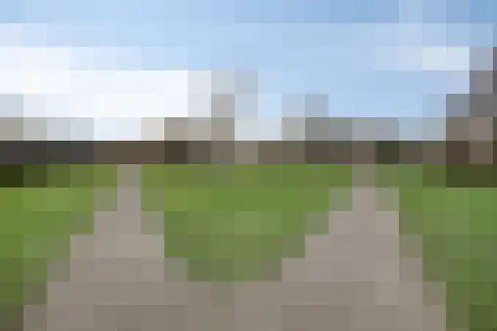Mandenmaker 14 IJsselstein thumbnail 45