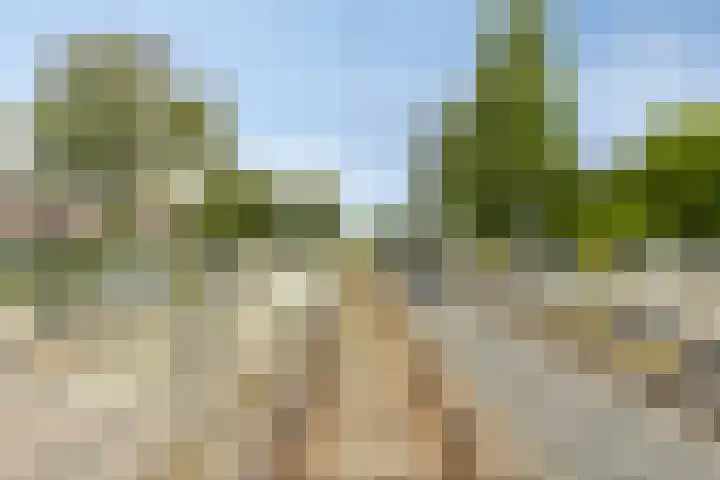 Mandenmaker 18 IJsselstein thumbnail 38