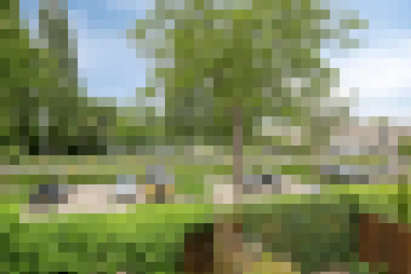 Mandenmaker 28 IJsselstein thumbnail 28