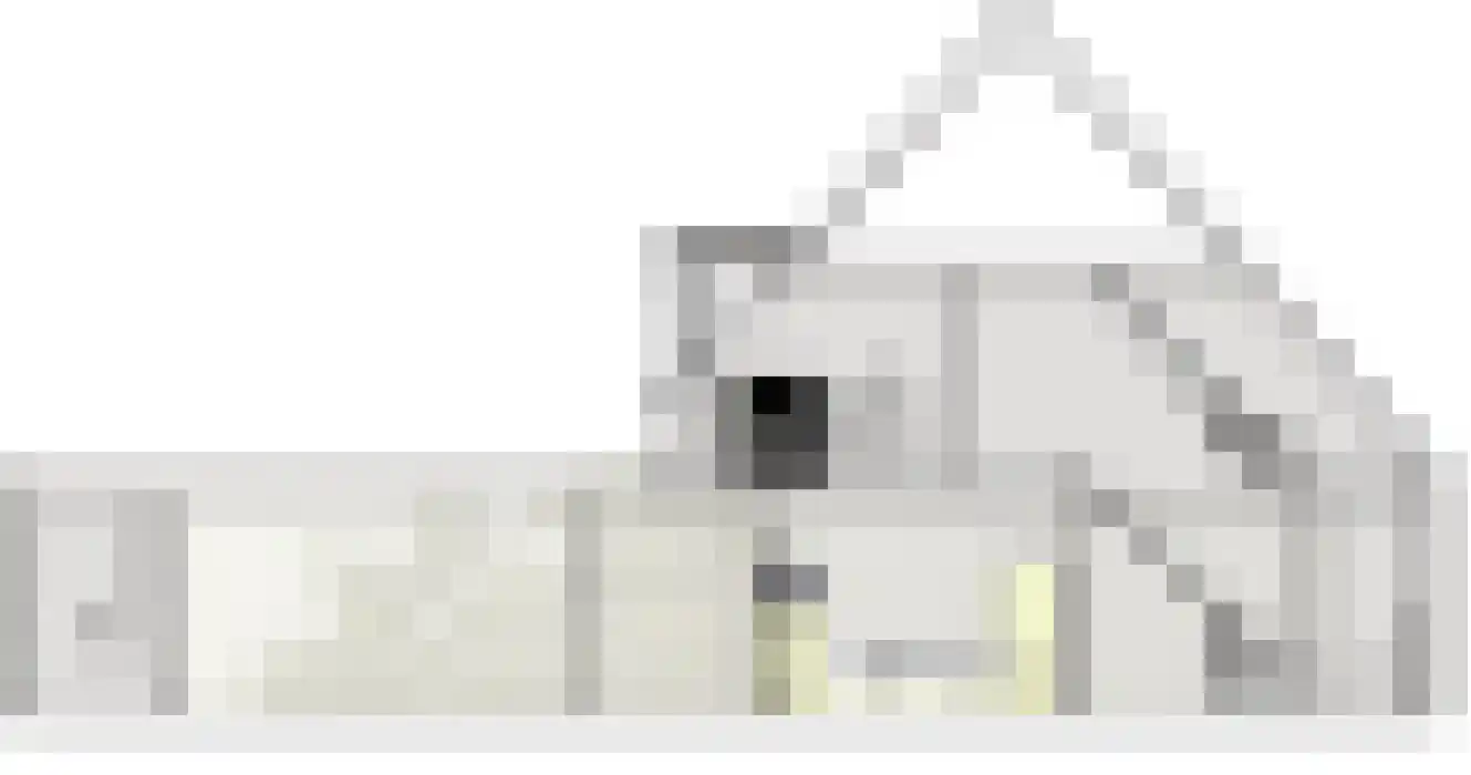 Mandenmaker 3 Oost West en Middelbeers thumbnail 12