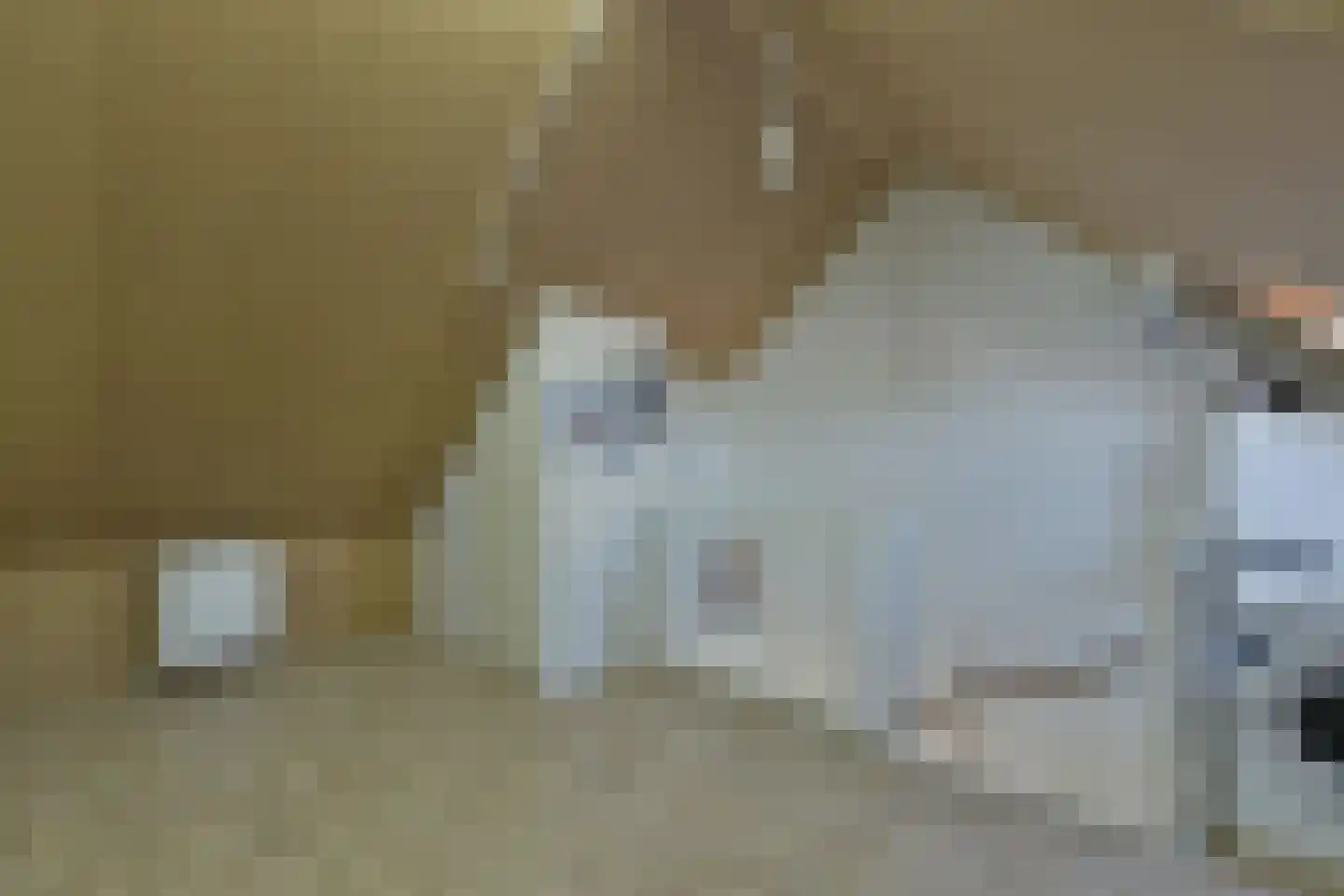 Mandenmaker 33 Wilnis thumbnail 20