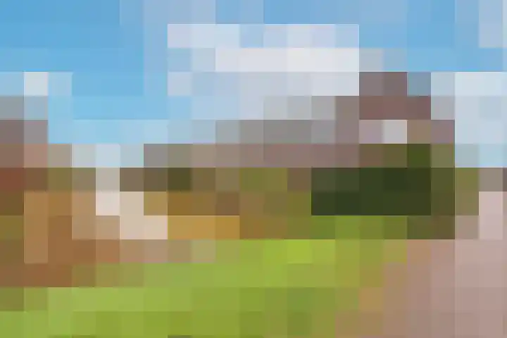 Mandenmaker 4 Wilnis thumbnail 26