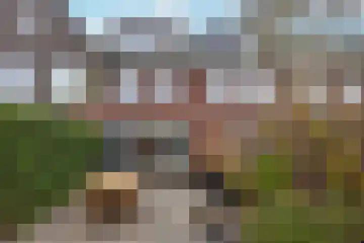 Mandenmaker 4 Wilnis thumbnail 4