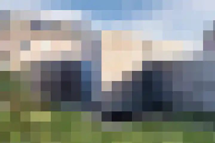 Mandenmaker 45 Wilnis thumbnail 24