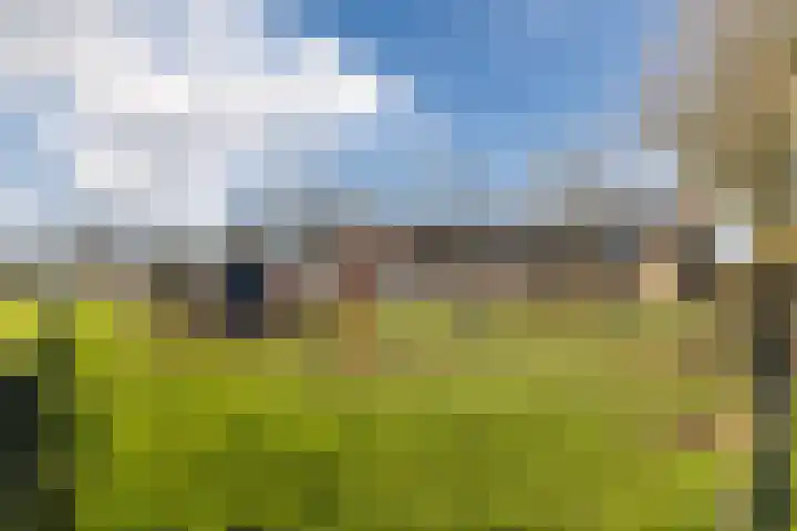 Mandenmaker 45 Wilnis thumbnail 26