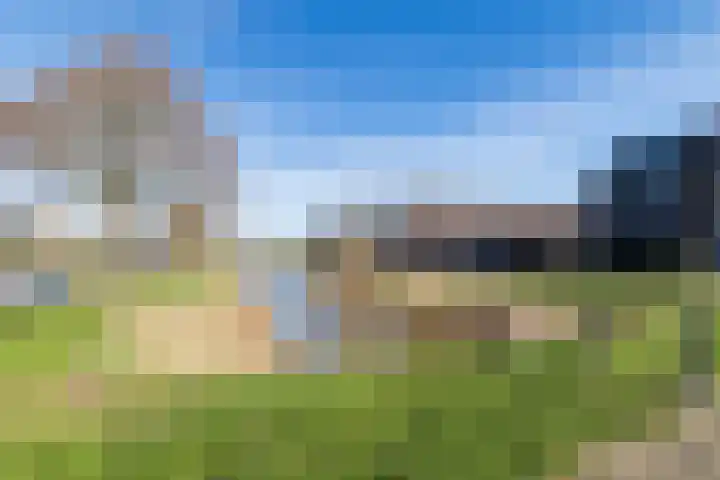 Mandenmaker 45 Wilnis thumbnail 27
