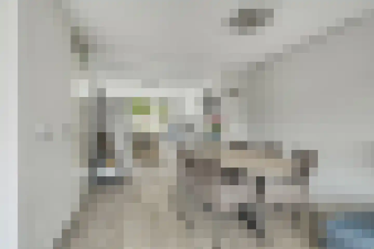 Mandenmakerij 8 Barendrecht thumbnail 14