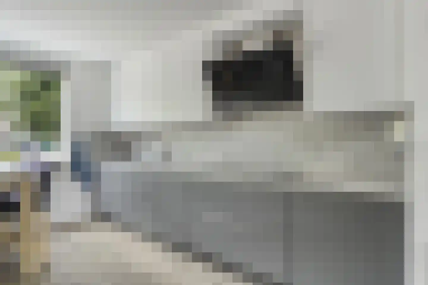 Mandenmakerij 8 Barendrecht thumbnail 15