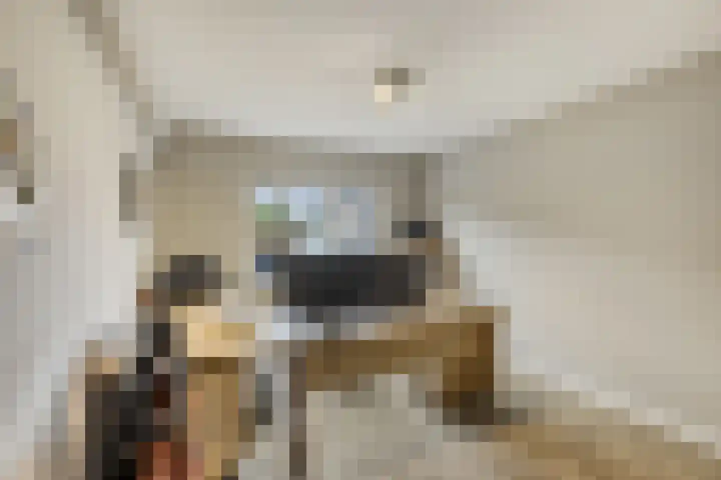 Mandenmakerij 8 Barendrecht thumbnail 18
