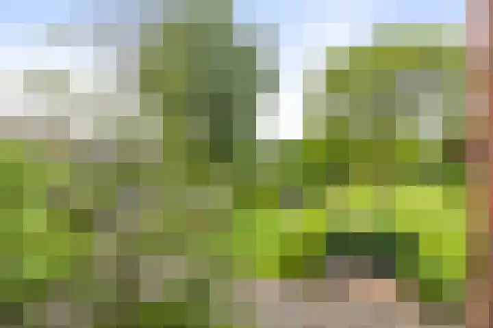 Mandenmakersgilde 17 Dronten thumbnail 19