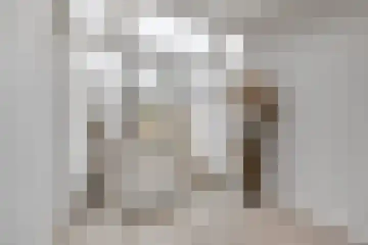 Mandenmakersgilde 17 Dronten thumbnail 25