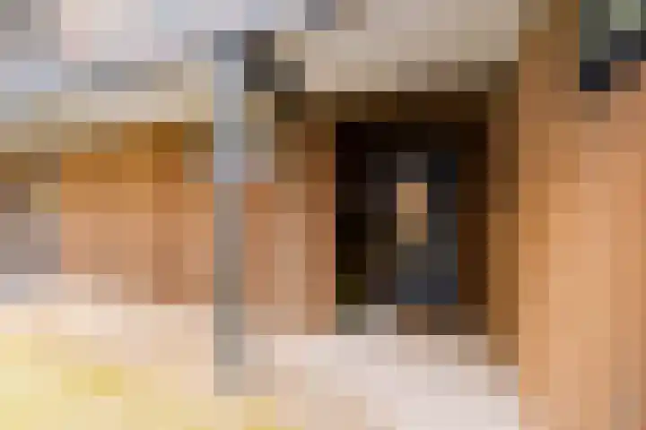 Mandenmakersgilde 38 Dronten thumbnail 13