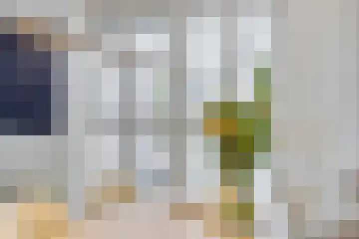 Mandenmakersgilde 38 Dronten thumbnail 16