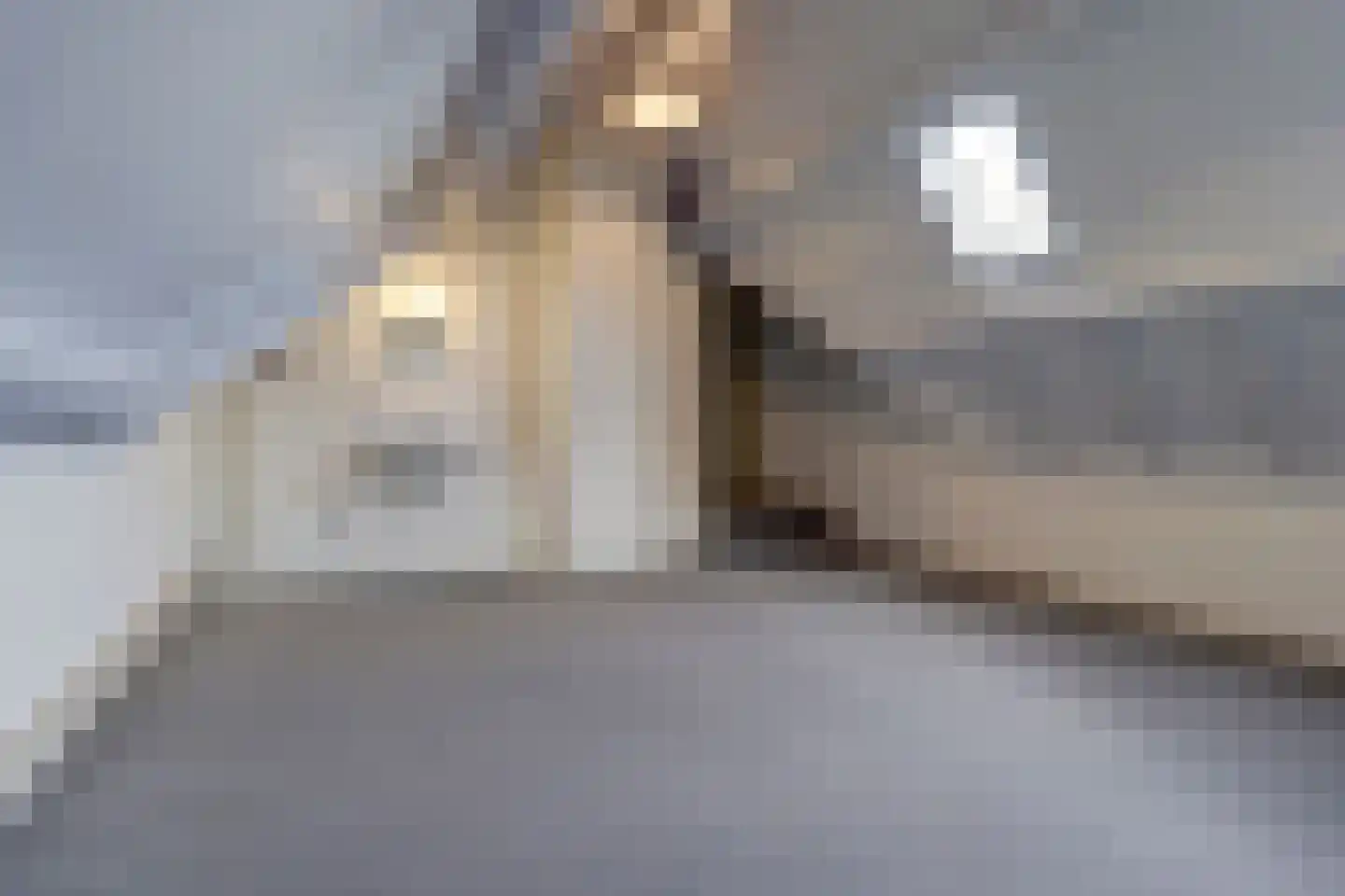 Mandenmakersgilde 38 Dronten thumbnail 31