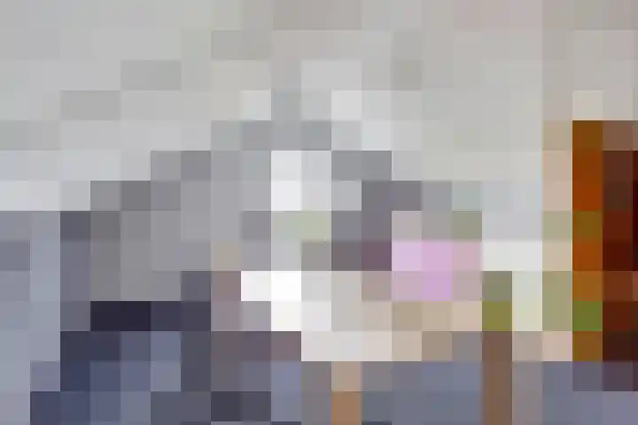 Mandenmakersgilde 38 Dronten thumbnail 35