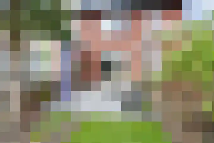 Mandenmakersgilde 38 Dronten thumbnail 39