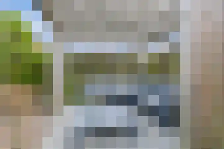 Mandenmakersgilde 38 Dronten thumbnail 41
