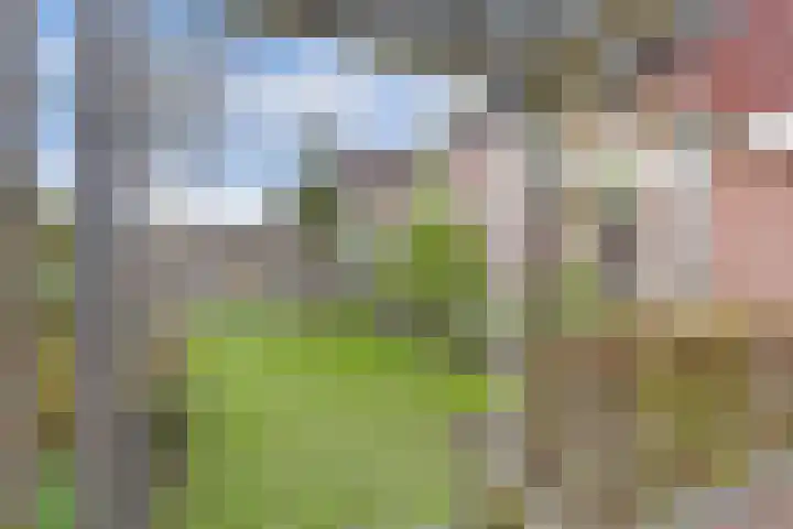 Mandenmakersgilde 38 Dronten thumbnail 42