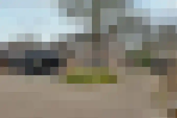 Mandenmakersgilde 38 Dronten thumbnail 43