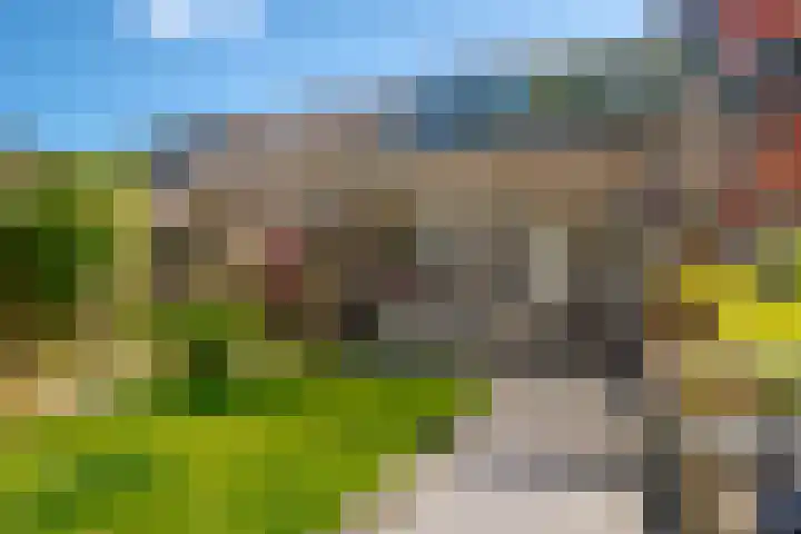 Mandenmakersgilde 38 Dronten thumbnail 46