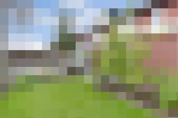 Mandenmakersgilde 38 Dronten thumbnail 47