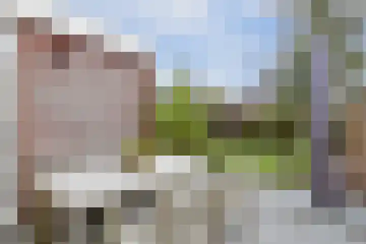 Mandenmakersgilde 38 Dronten thumbnail 49