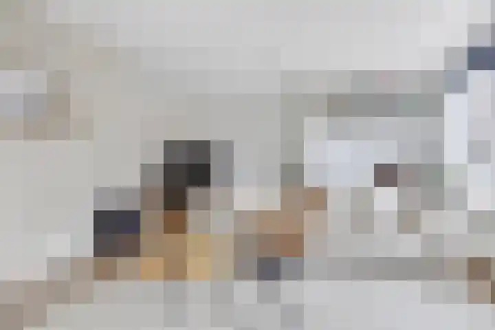 Mandenmakersgilde 38 Dronten thumbnail 5
