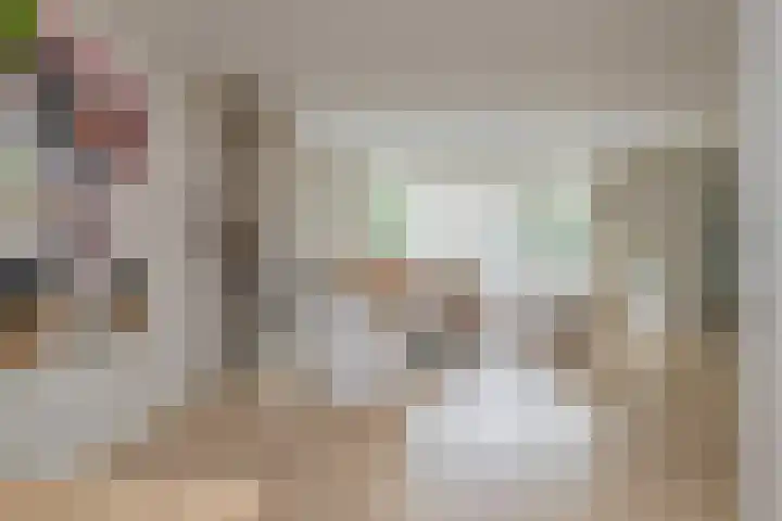 Mandenmakerskade 22 Lisse thumbnail 11