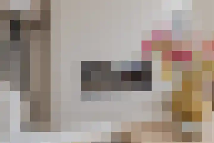 Mandenmakerskade 22 Lisse thumbnail 13