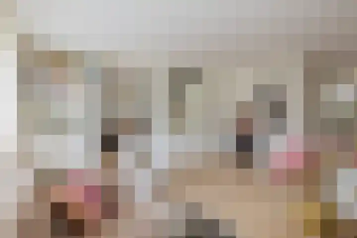 Mandenmakerskade 22 Lisse thumbnail 15